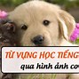 Học Tiếng Anh Qua Hình Vẽ