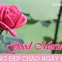 Ngày Mới