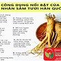 Sâm Lạnh Là Gì