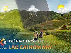 Tin Tức Lào Cai Yên Bái Hôm Nay Hôm Nay Hôm Nay Không